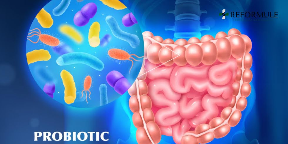 Seu Intestino Controla sua Saúde: A Importância dos Probióticos